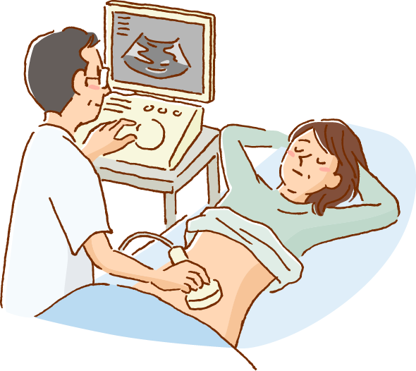 エコー検査のイラスト画像